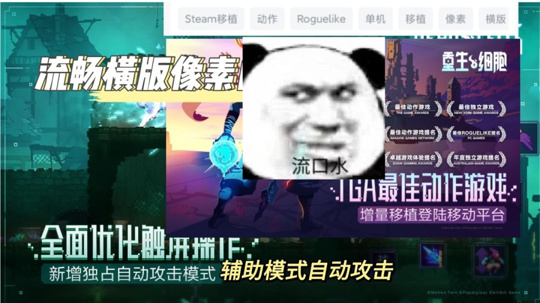 video-3850199