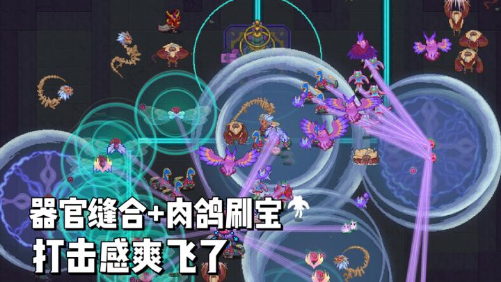 怪物进化养成+地牢弹幕割草!简直是打工人解压神奇!截图