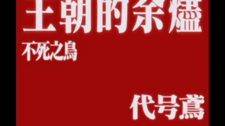鸟你是真的出息了截图