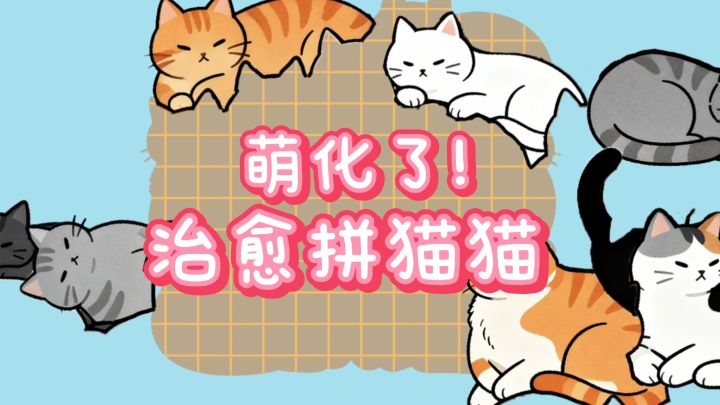 超可爱治愈的拼猫猫🐱，无时间限制～截图