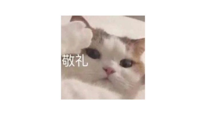 没有法珠也有春天截图