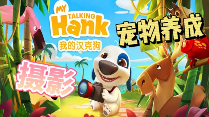 一只可爱修狗的摄影之路 我的汉克狗 #萌宠在哪里#截图