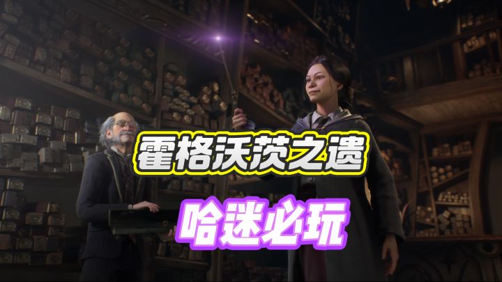 哈迷必玩——霍格沃茨之遗截图