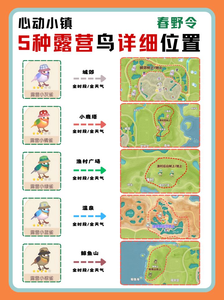 心动小镇5种露营鸟详细位置‼️截图