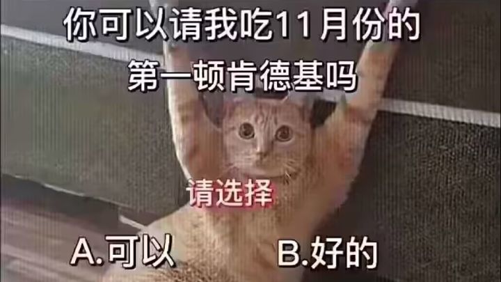 飓风“没错这是飞行的最高境界”截图
