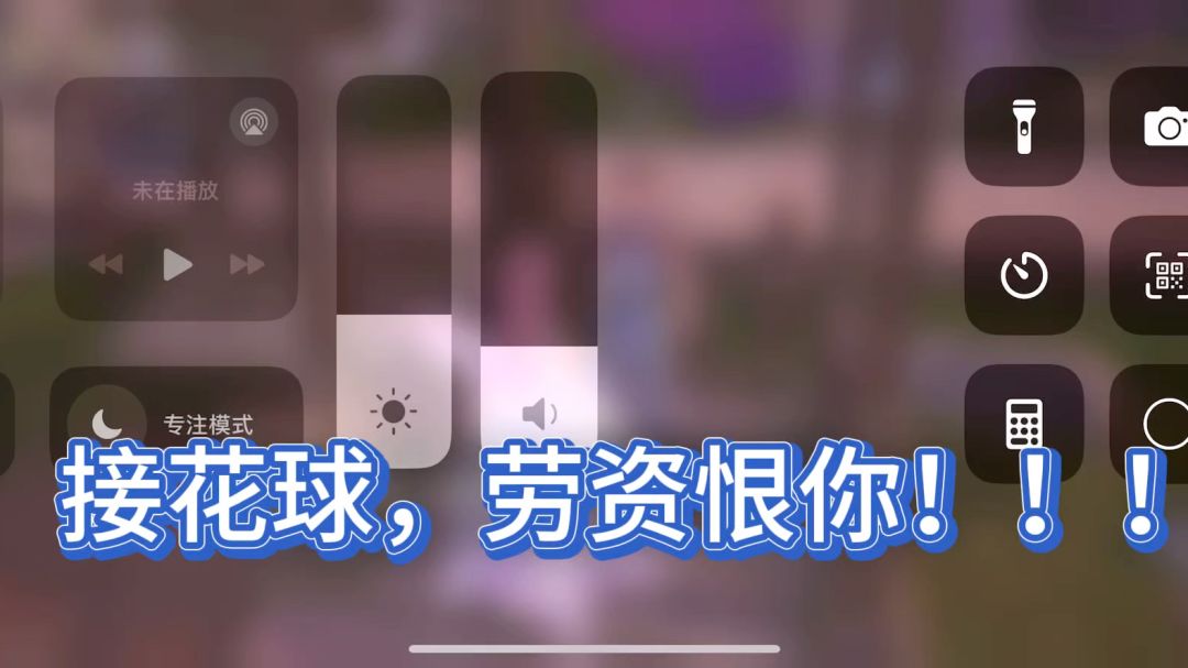 video-4600958