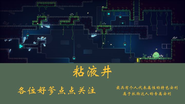 亲爱的你好 我是一个绿色的土豆截图