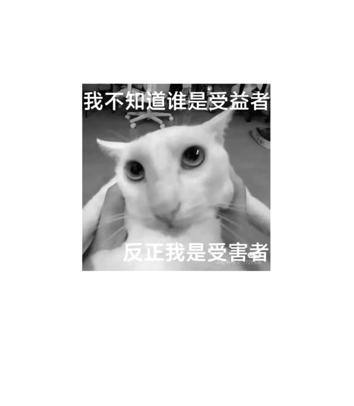 极品神车截图