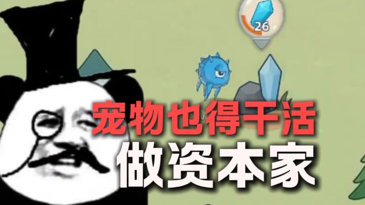 干活!抓宠来干活!截图