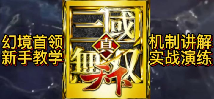 真三国无双天下 幻境首领 新手教学 机制讲解截图