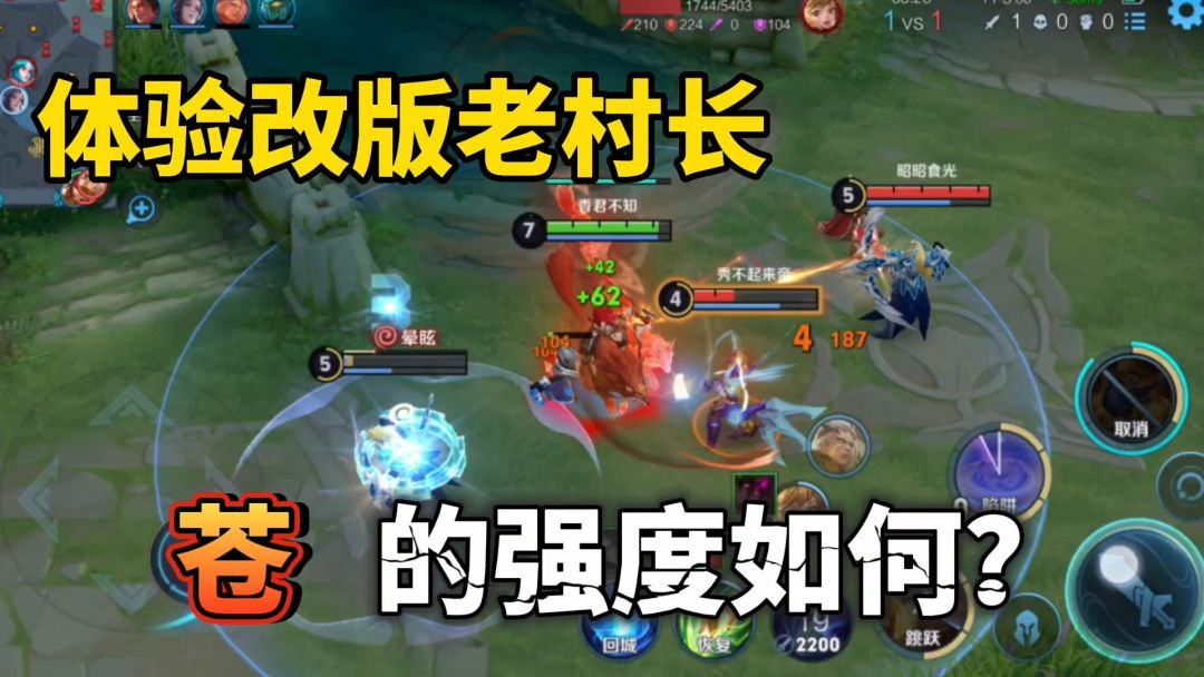 王者荣耀：体验苍的强度，召唤狼群追击敌人截图