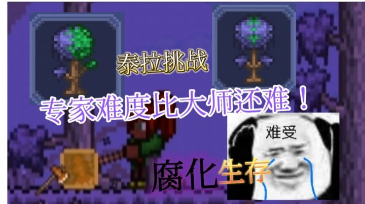 泰拉瑞亚:当整个世界都变成了腐化之地,该如何生存下去?截图