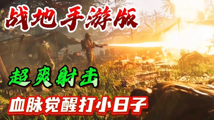 【战地手游版】❗开上战斗机暴打小日子❗你玩不玩❓龙人血脉觉醒❗截图