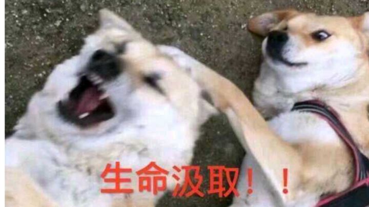 200张牌又怎么了截图