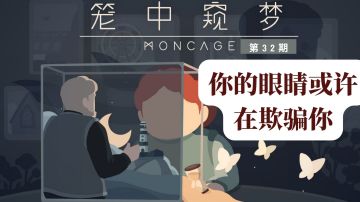 《笼中窥梦》：你的眼睛可能在欺骗着你