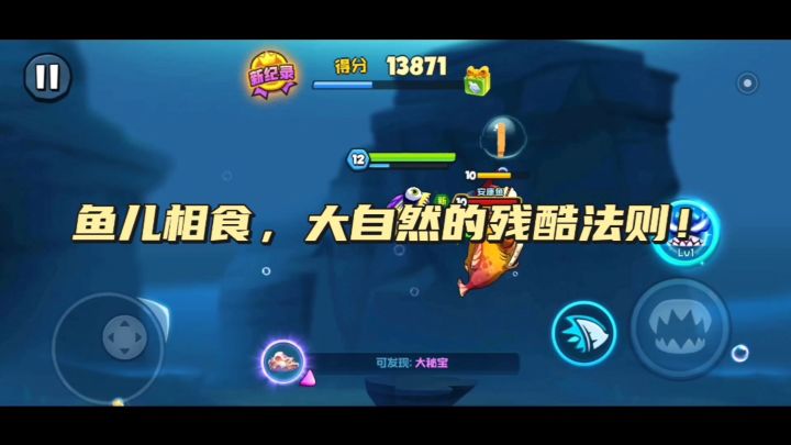 鱼儿相食,大自然的残酷法则!截图