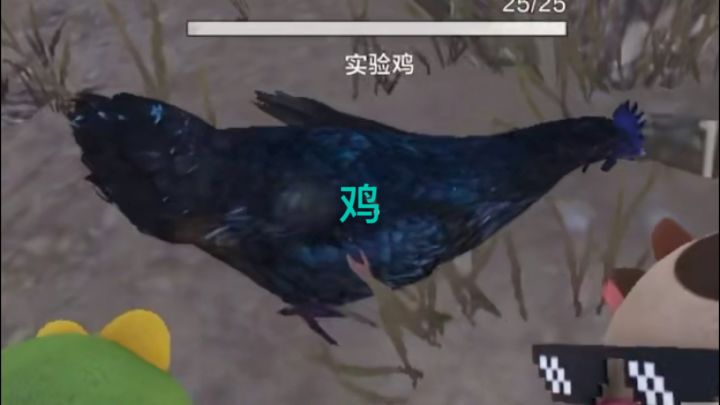 鸡截图