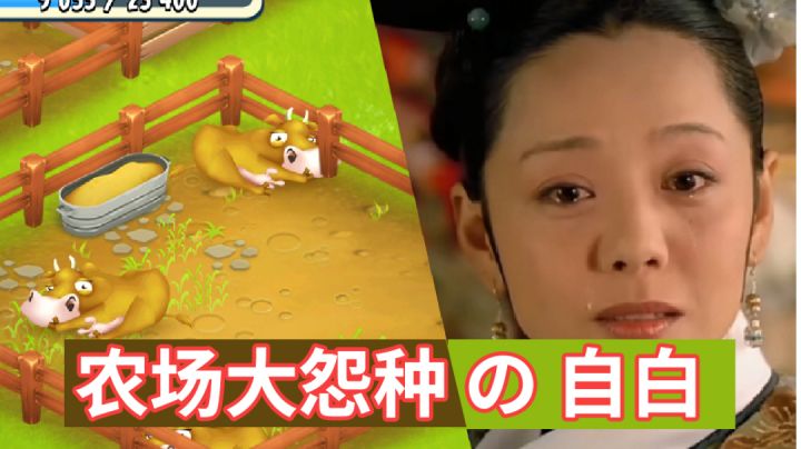农场大冤种的自白截图
