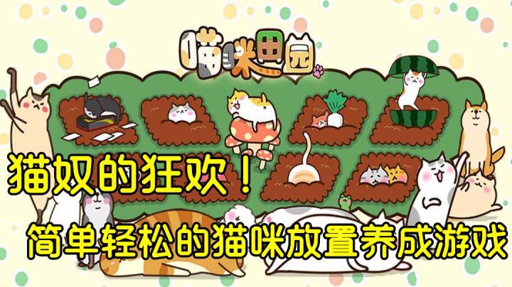 种瓜得瓜种豆得豆,那种猫呢#萌宠在哪里#截图
