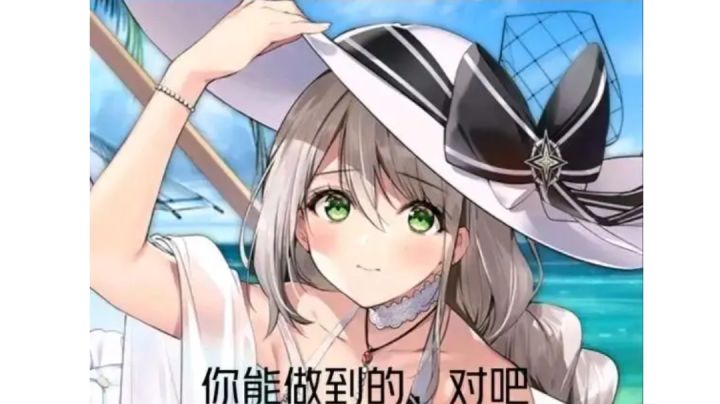 我需要好的队友,鉴定完毕。截图