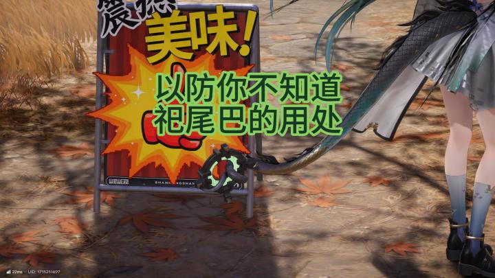 祀尾巴上圈圈的作用截图