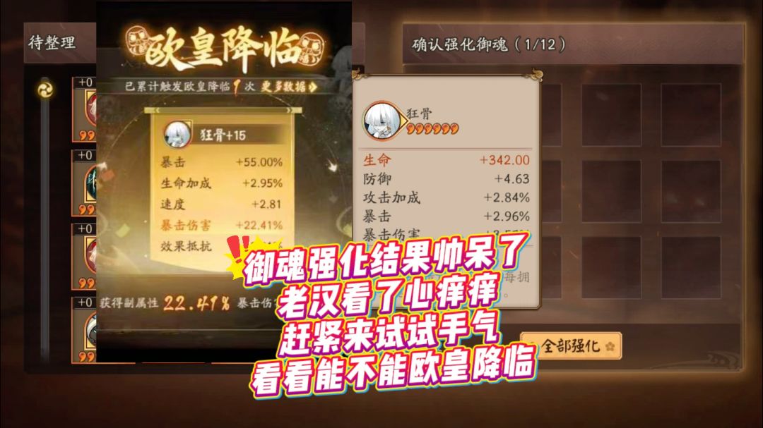 video-5673787