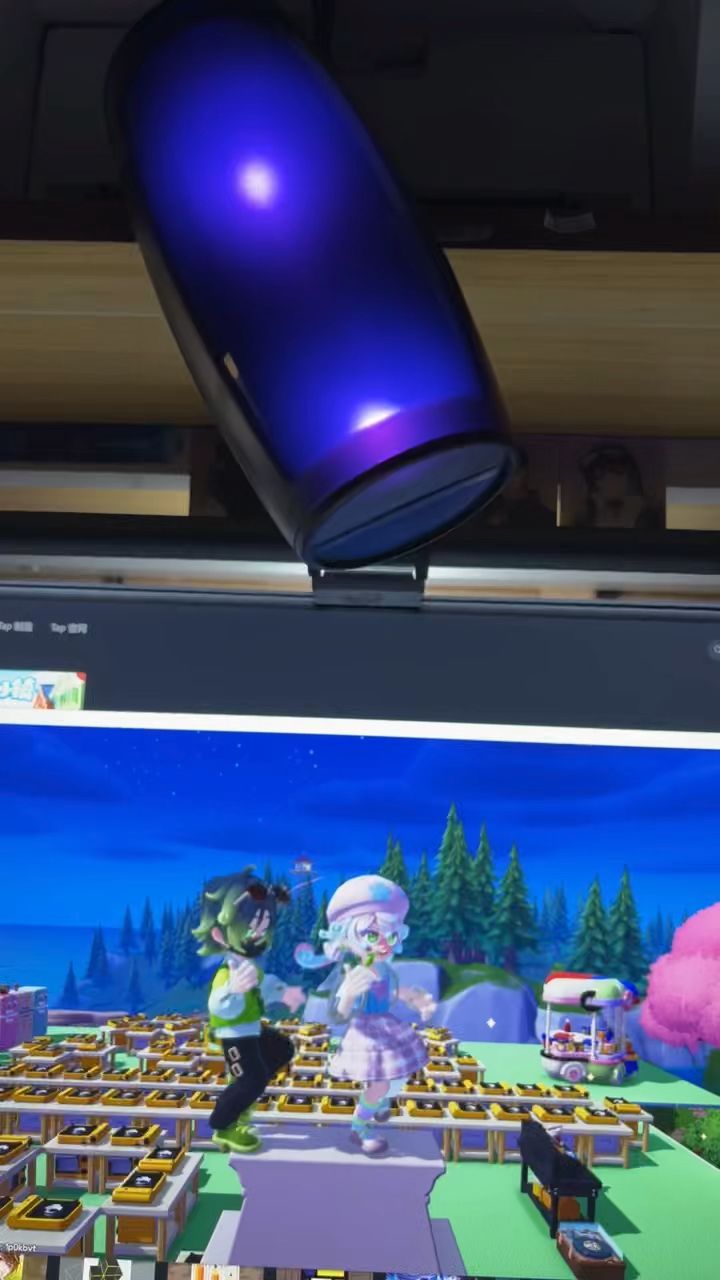【心动小镇】就这样和朋友赛博蹦迪截图