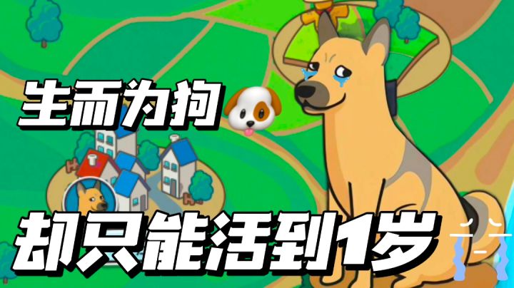 生而为狗🐶,却可怜只能活到˗ˋˏ1 ˎˊ˗岁!——#新游观察局#截图