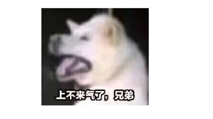 烂,太烂了截图
