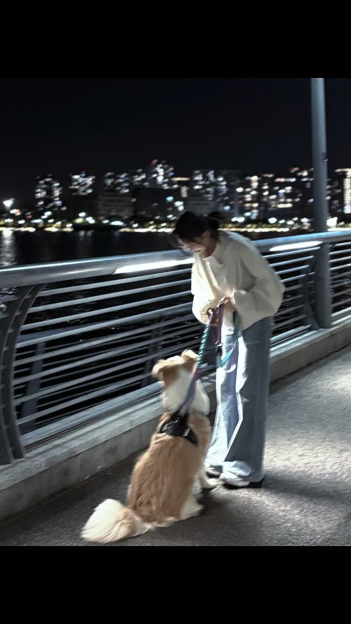 傲娇小狗和他卑微的主人截图