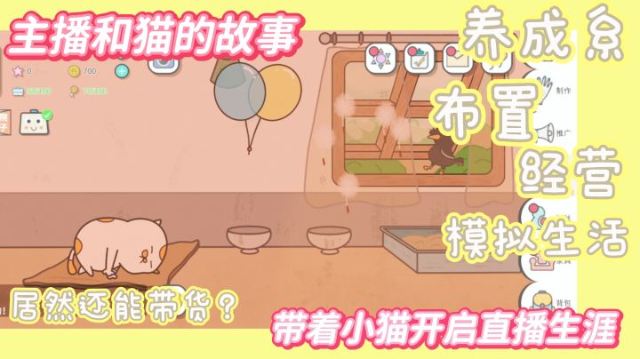 体验宠物主播的生活!当主播的人生是什么样的呢~截图