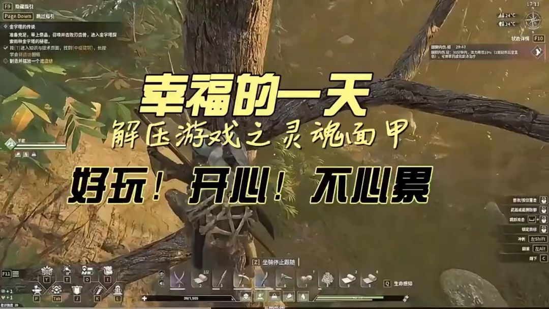 video-5288967