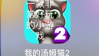 一款非常不错的游戏,游戏名为《我的汤姆猫2》截图