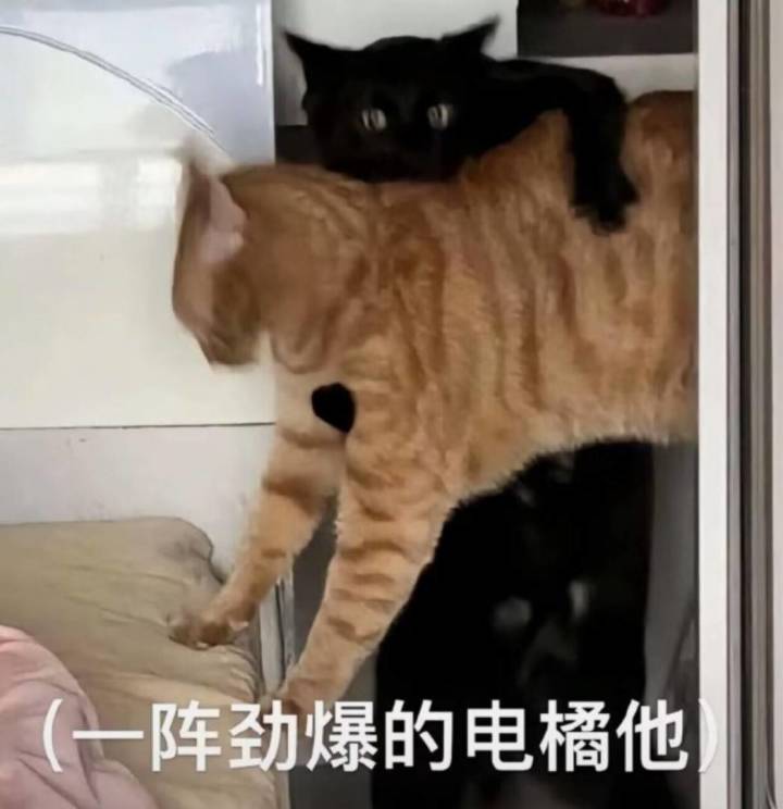 跟着废物红烧肉一起敲装备截图