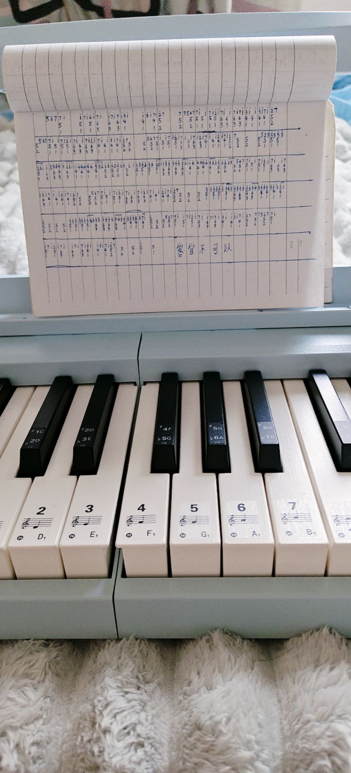 光遇曲谱☞客官不可以截图
