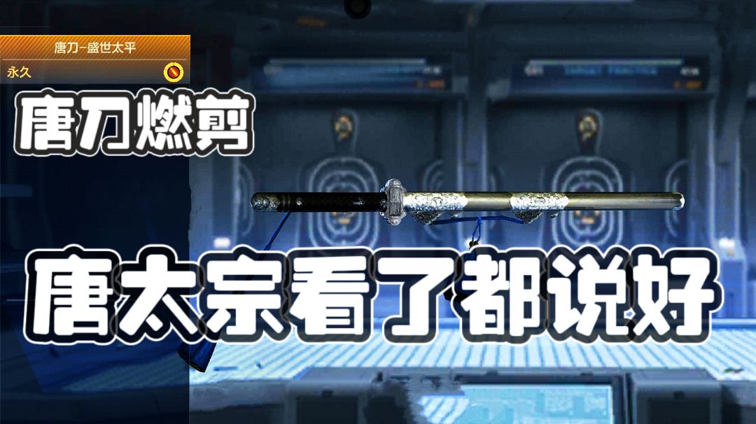 #全民竞技场#传闻中的隐藏V-唐刀真的有这么好用吗？截图