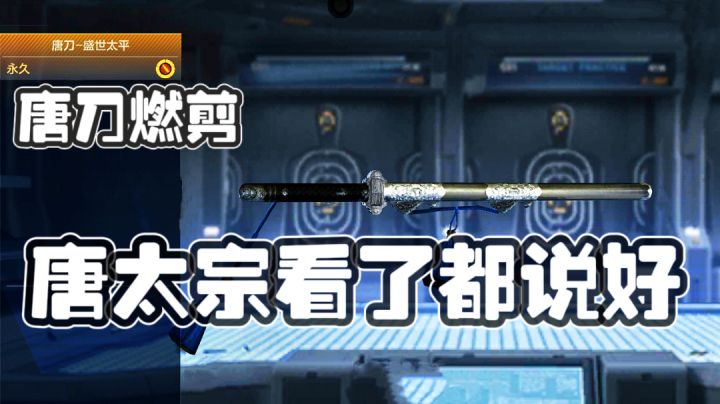 #全民竞技场#传闻中的隐藏V-唐刀真的有这么好用吗?截图
