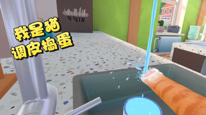 沉浸式的体验淘气猫的快乐❗截图