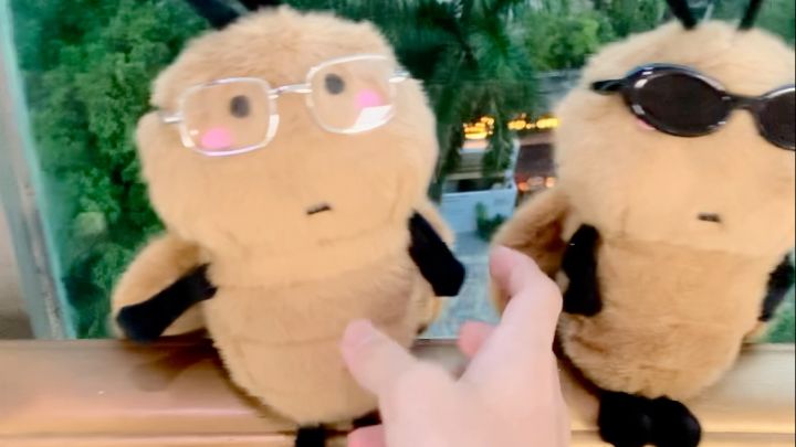 广东双马尾&可爱番茄头（视频版）截图