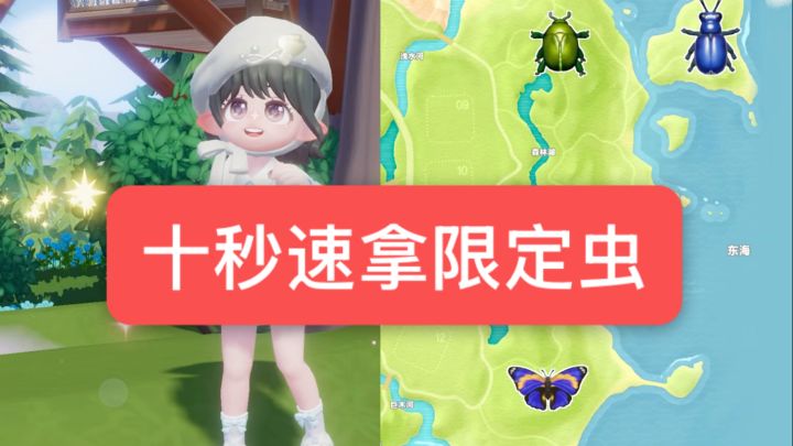✅5只限定昆虫捕捉点位跟跑版截图