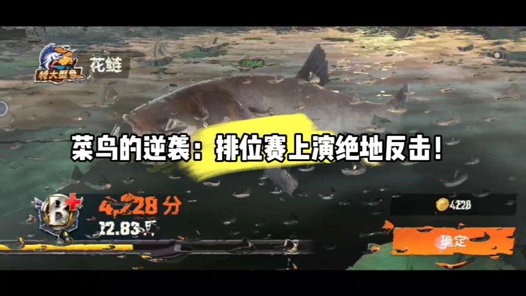 video-4096405
