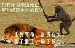 空腹打嗝最强用法