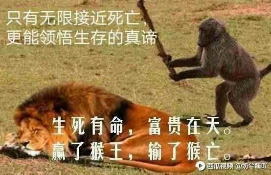 空腹打嗝最强用法截图