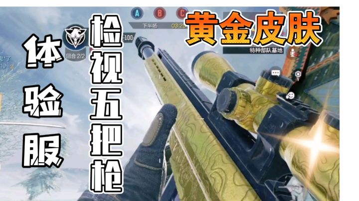 检视五把黄金皮肤截图