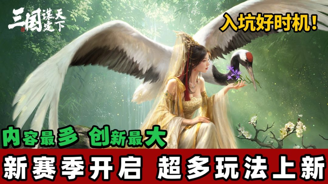 video-4894568
