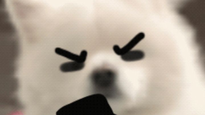 第一次过第九层🤔截图