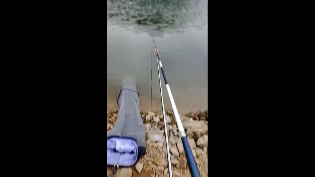 video-4041175