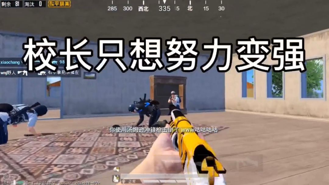 video-3818930