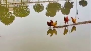 不会超级跳的赶紧来学学！