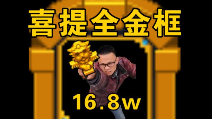 【恶搞】16.8w蓝币喜提全金框截图